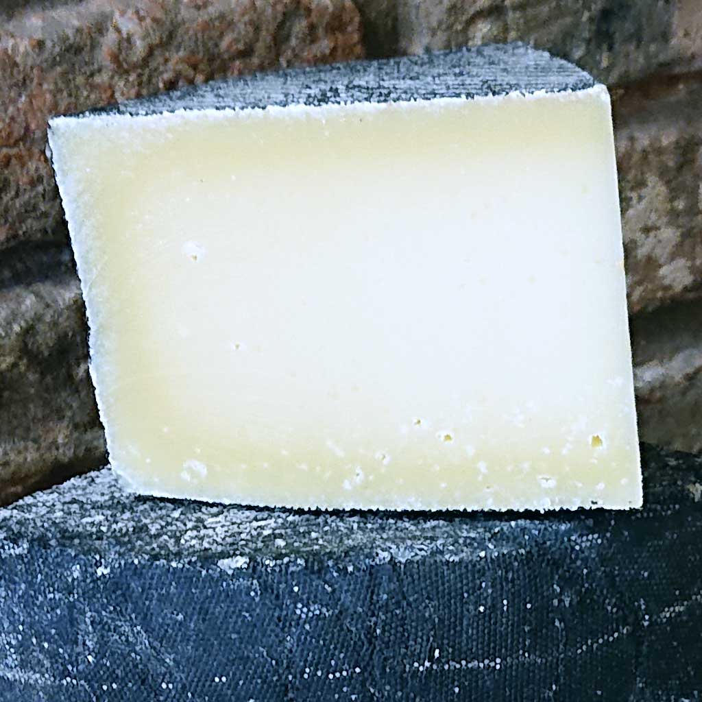 Cornish Kern Cheese, British Artisan hard cheese